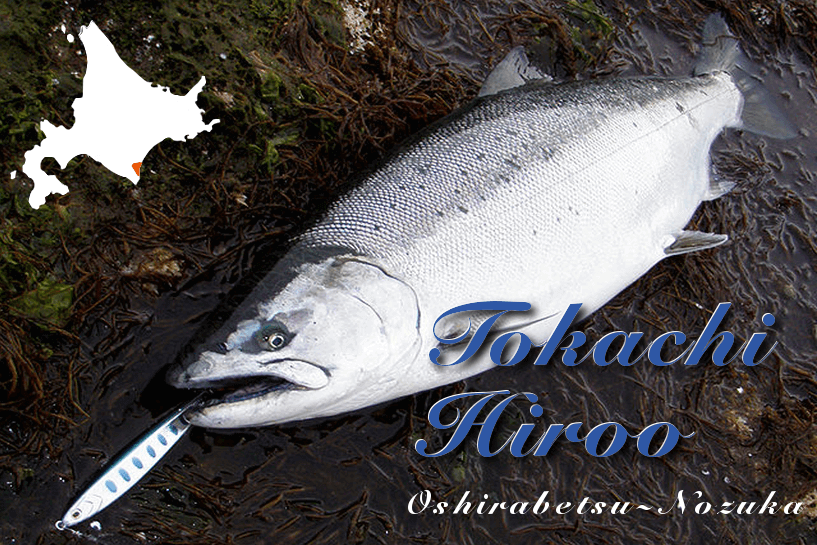 北海道 太平洋沿岸の海鱒 鮭ポイント A Tool Of Trout Angler S
